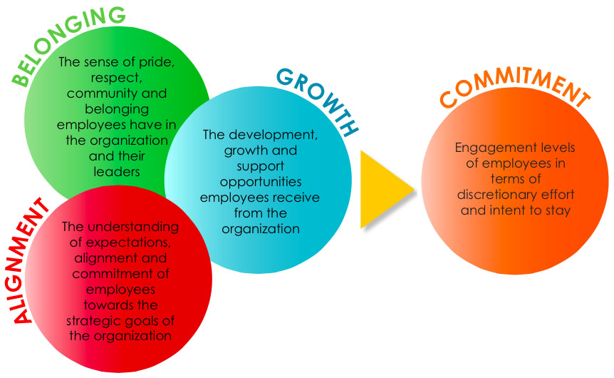 employer engagement job role